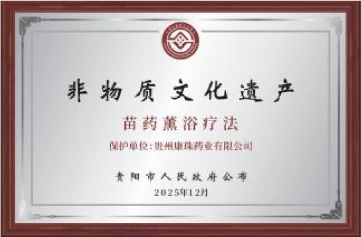 荣誉资质 9